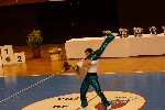 2006 04 01 acro val marne 306